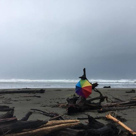 Meet your Posher, Phyllis - Picture 1 of 1